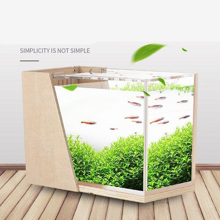 Sustainable Mini Aquarium with Customizable LED Lighting