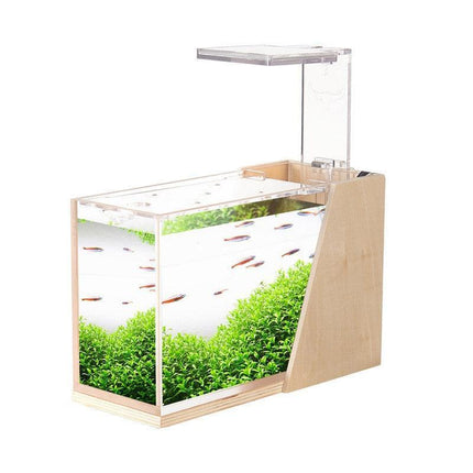 Sustainable Mini Aquarium with Customizable LED Lighting
