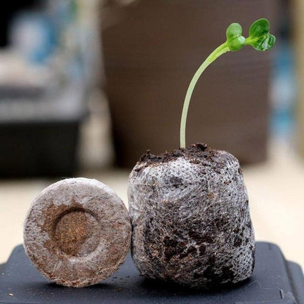 Sustainable Seedling Starter Kit with Biodegradable Peat Blocks for Thriving Gardens - Très Elite