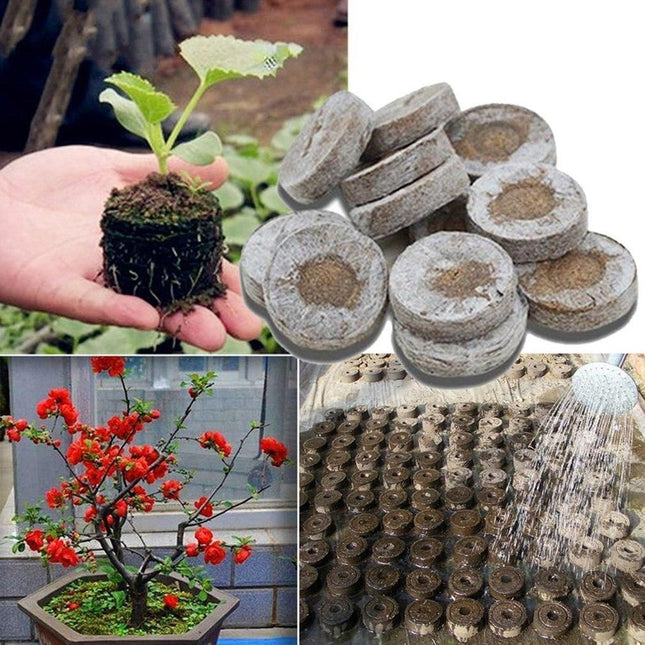 Sustainable Seedling Starter Kit with Biodegradable Peat Blocks for Thriving Gardens