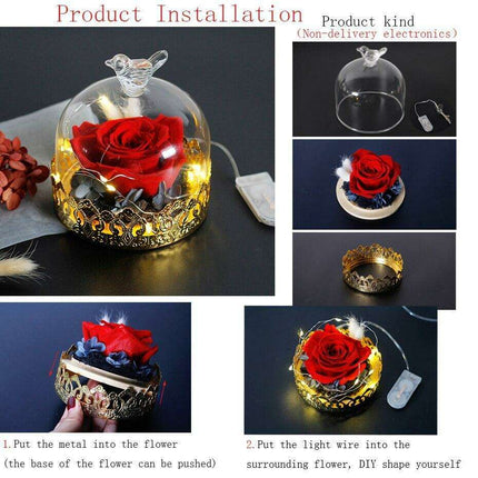 Timeless Elegance: Illuminated Red Roses in Glass Dome - Très Elite