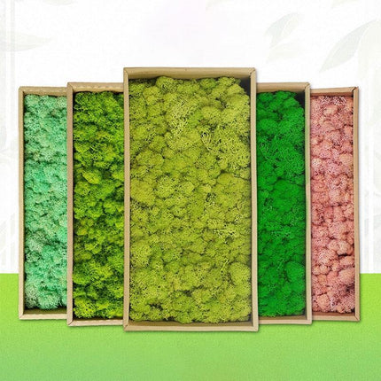 Timeless Elegance Moss Collection: Luxurious Artificial Plants for Upscale Home Decor..