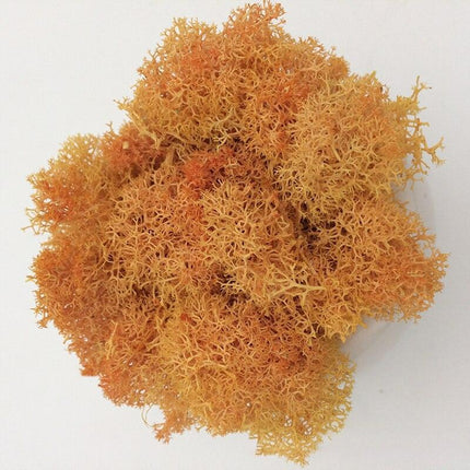 Timeless Elegance Moss Collection: Luxurious Artificial Plants for Upscale Home Decor..