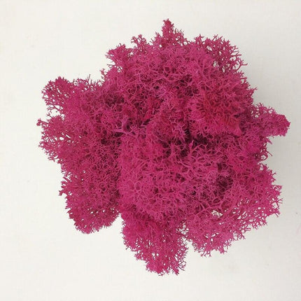 Timeless Elegance Moss Collection: Luxurious Artificial Plants for Upscale Home Decor..