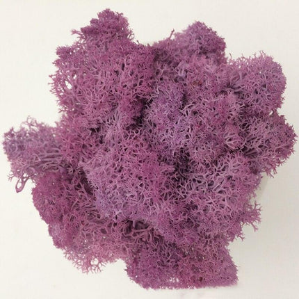 Timeless Elegance Moss Collection: Luxurious Artificial Plants for Upscale Home Decor..