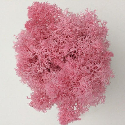 Timeless Elegance Moss Collection: Luxurious Artificial Plants for Upscale Home Decor..