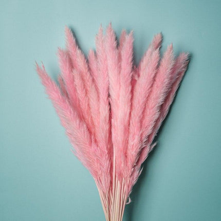 Timeless Elegance Pampas Grass Arrangement: A Chic Addition to Your Home Decor - Très Elite
