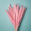 A05 / 30pcs