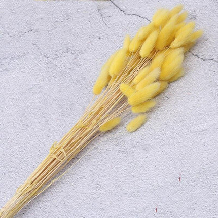 Timeless Elegance Pampas Grass Arrangement: A Chic Addition to Your Home Decor - Très Elite