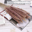 A01 / 30pcs