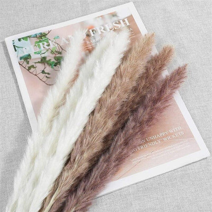 Timeless Elegance Pampas Grass Arrangement: A Chic Addition to Your Home Decor - Très Elite