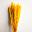 A07 / 30pcs