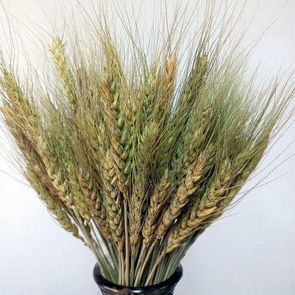Timeless Elegance Pampas Grass Arrangement: A Chic Addition to Your Home Decor - Très Elite