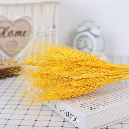 Timeless Elegance Pampas Grass Arrangement: A Chic Addition to Your Home Decor - Très Elite
