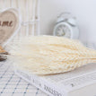 A15 / 30pcs