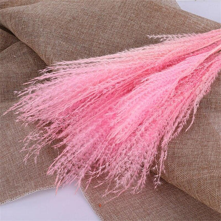 Timeless Elegance Pampas Grass Arrangement: A Chic Addition to Your Home Decor - Très Elite