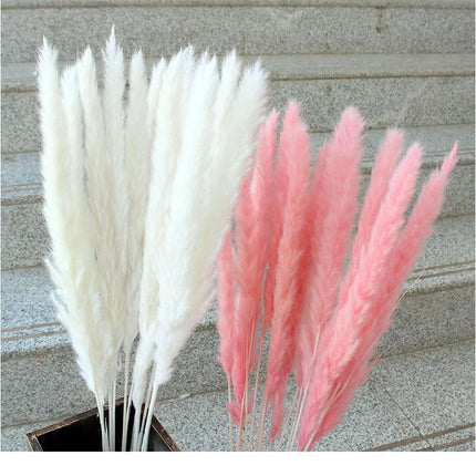 Timeless Elegance Pampas Grass Arrangement: A Chic Addition to Your Home Decor - Très Elite