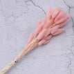 A19 / 30pcs