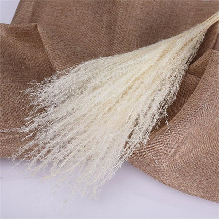 Timeless Elegance Pampas Grass Arrangement: A Chic Addition to Your Home Decor - Très Elite