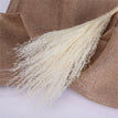 A111 / 30pcs