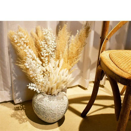 Timeless Elegance Pampas Grass Dried Flower Bouquet - 45cm Set - Très Elite
