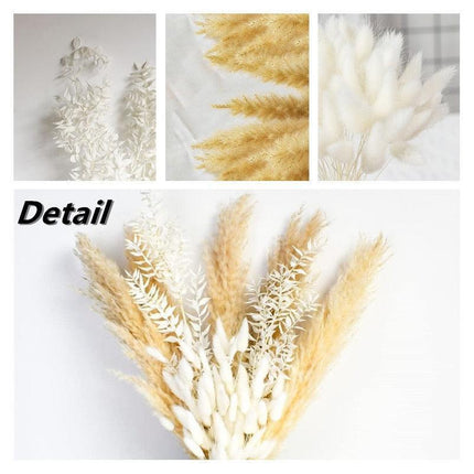 Timeless Elegance Pampas Grass Dried Flower Bouquet - 45cm Set - Très Elite