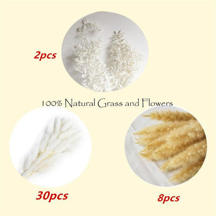 Timeless Elegance Pampas Grass Dried Flower Bouquet - 45cm Set - Très Elite