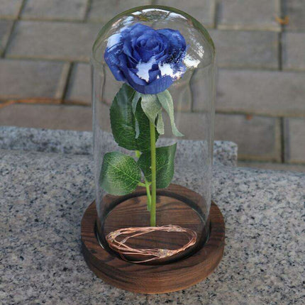 Timeless Elegance Red Pink Rose Glass Dome Display - Très Elite