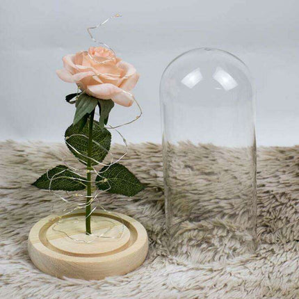 Timeless Elegance Red Pink Rose Glass Dome Display - Très Elite