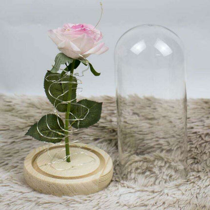 Timeless Elegance Red Pink Rose Glass Dome Display - Très Elite
