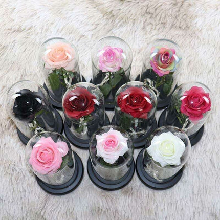 Timeless Elegance Red Pink Rose Glass Dome Display - Très Elite