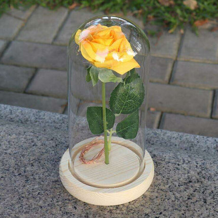 Timeless Elegance Red Pink Rose Glass Dome Display - Très Elite