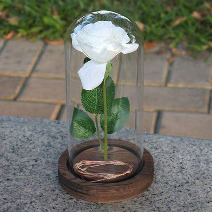 Timeless Elegance Red Pink Rose Glass Dome Display - Très Elite