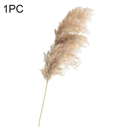 Timeless Grace: Luxurious Preserved Reed Bloom Arrangement - Très Elite
