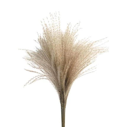 Timeless Grace: Luxurious Preserved Reed Bloom Arrangement - Très Elite
