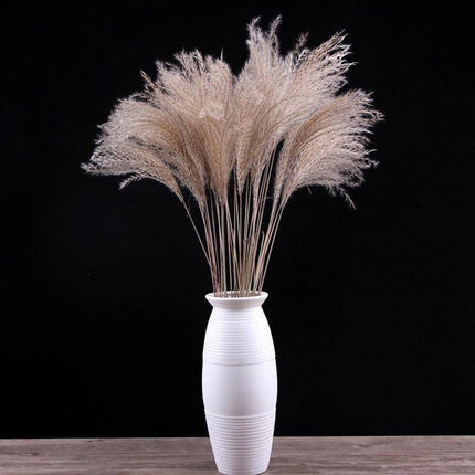 Timeless Grace: Luxurious Preserved Reed Bloom Arrangement - Très Elite
