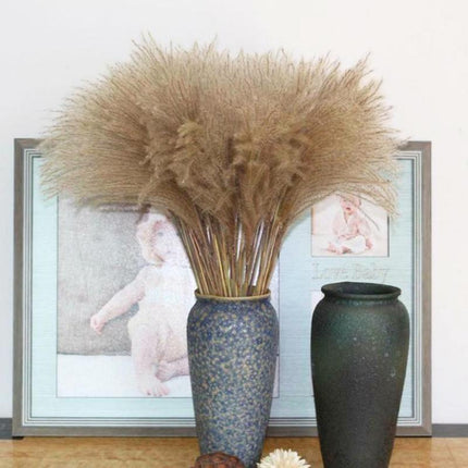 Timeless Grace: Luxurious Preserved Reed Bloom Arrangement - Très Elite