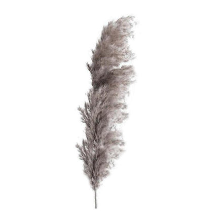 Timeless Grace: Luxurious Preserved Reed Bloom Arrangement - Très Elite