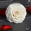 beige / 9-10cm(1pc)