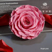 bright pink / 9-10cm(1pc)