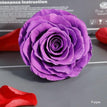 purple / 9-10cm(1pc)