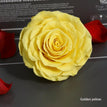 golden yellow / 9-10cm(1pc)