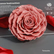 terracotta / 9-10cm(1pc)
