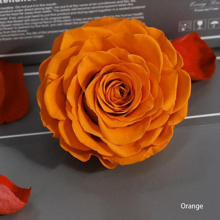 Timeless Grace: Luxurious Preserved Rose Head for Lasting Splendor - Très Elite