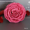 rose red / 9-10cm(1pc)