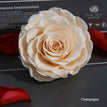 champagne / 9-10cm(1pc)