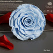 sky blue / 9-10cm(1pc)