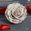 khaki / 9-10cm(1pc)
