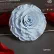 light blue / 9-10cm(1pc)
