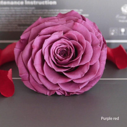 Timeless Grace: Luxurious Preserved Rose Head for Lasting Splendor - Très Elite